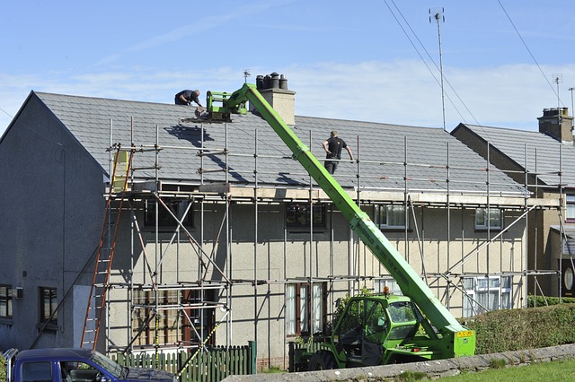 roofline,roof,shingle roof,tile roof,