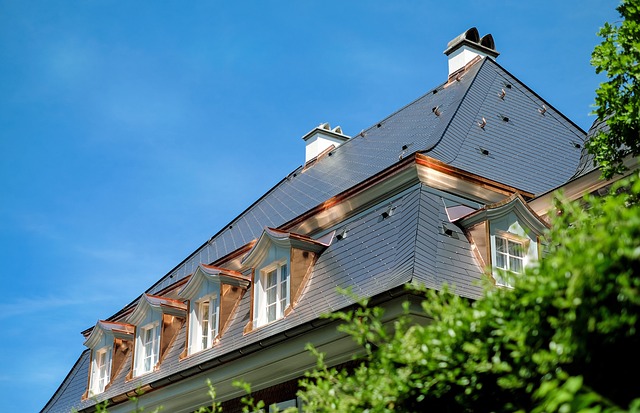 roofline,roof,shingle roof,tile roof,