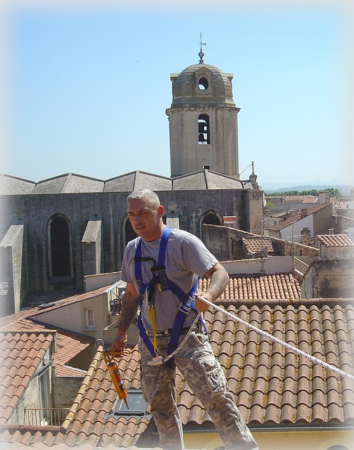 roofline,roof,shingle roof,tile roof,