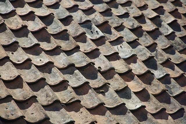 roofline,roof,shingle roof,tile roof,