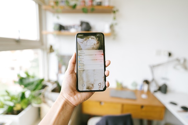 safety, security, protection, app, technology, phone