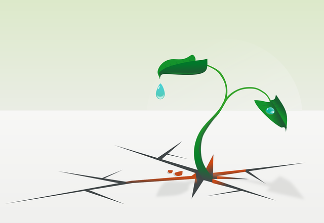 startups, growth, capital, technology, access, resilience