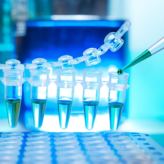 testing, inspection, professional, lab, home, spores