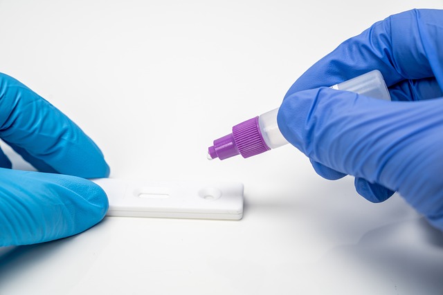 testing, inspection, professional, lab, home, spores