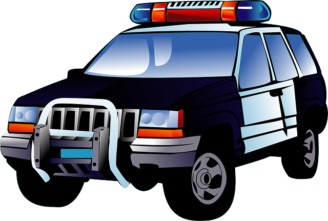 transportation, screening, drivers, safety, compliance, verification
