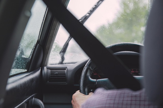 transportation, screening, drivers, safety, compliance, verification