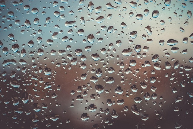 water, damage, flood, leak, moisture, mold