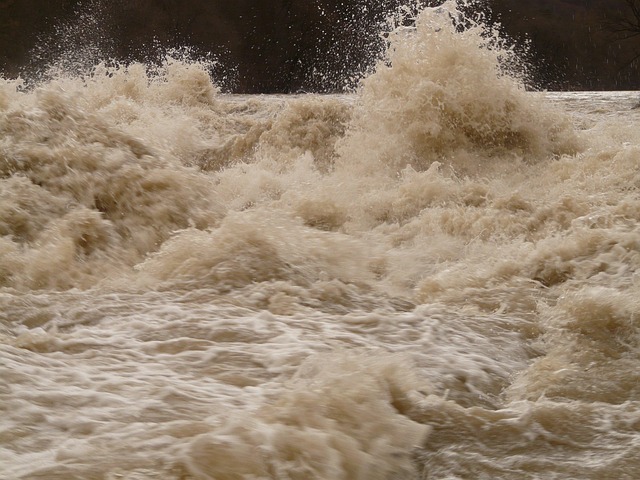water, damage, flood, leak, moisture, mold