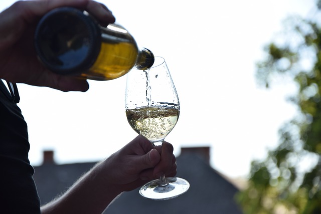 wine, vineyard, grapes, tasting, winery, bottles