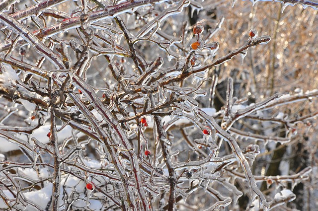 winter, insulation, pipes, freeze, cold, protection