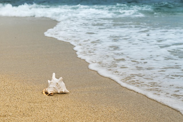beach, hidden, secluded, coast, sand, tranquility
