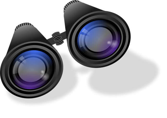 birds, nature, binoculars, wildlife, observation, outdoors