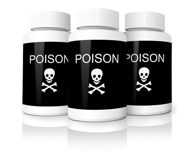 black, mold, toxic, danger, spores, health