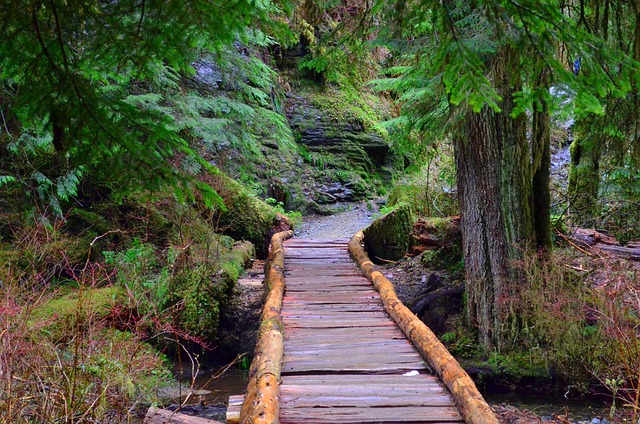Camping, Campgrounds, Nature, Outdoors, Tents, RV