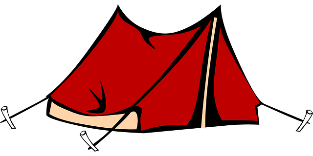 camping, tents, campfire, nature, forest, outdoors