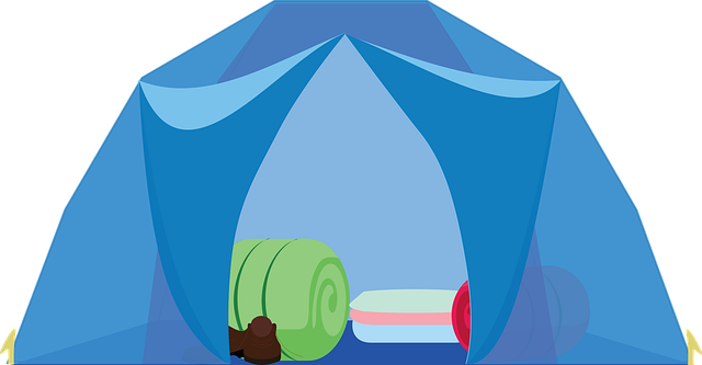 camping, tents, campfire, nature, forest, outdoors