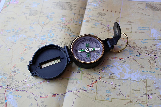 cases, DHS, welfare, navigation, strategies, resources
