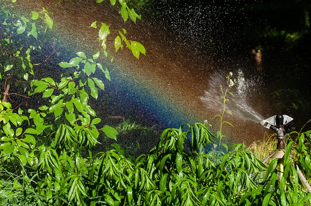conservation, water, save, efficiency, rainwater, irrigation
