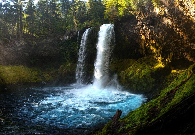 contempt, court, compliance, order, attorney, Oregon