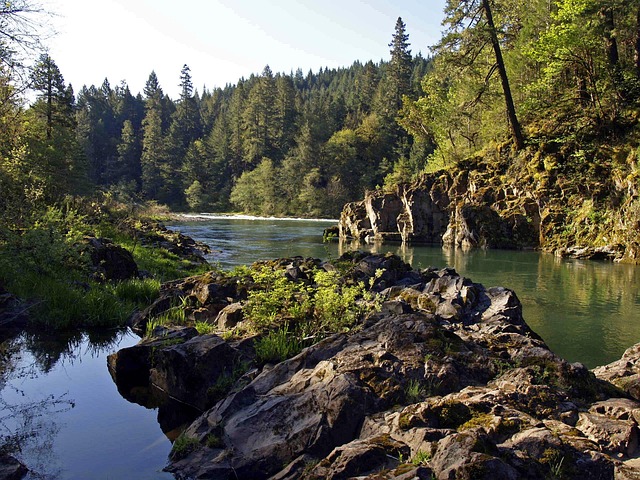 court, procedures, Oregon, probate, process, legal