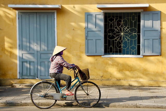 cycling, bike, trail, nature, road, adventure