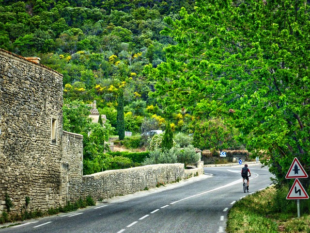 cycling, bike, trail, nature, road, adventure