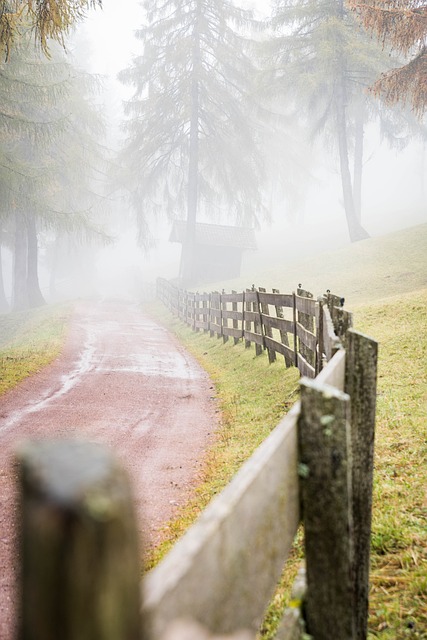 cycling-bike-trail-nature-road-adventure-640x480-69863316.jpeg