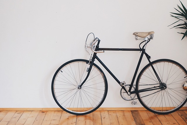 cycling, bike, trail, nature, road, adventure