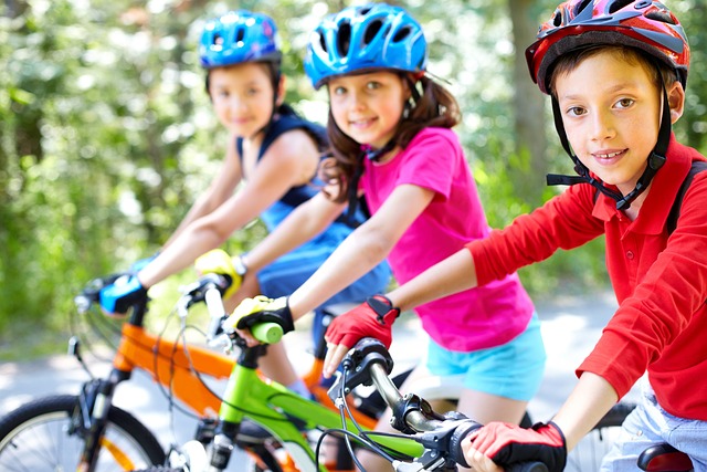 cycling, bike, trail, nature, road, adventure