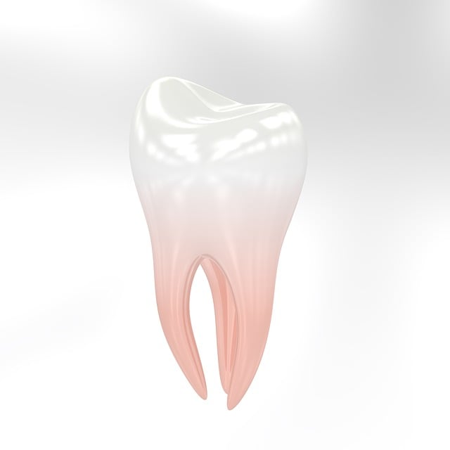 dentist,smile,white teeth