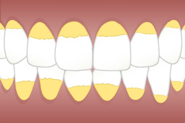 dentist,smile,white teeth