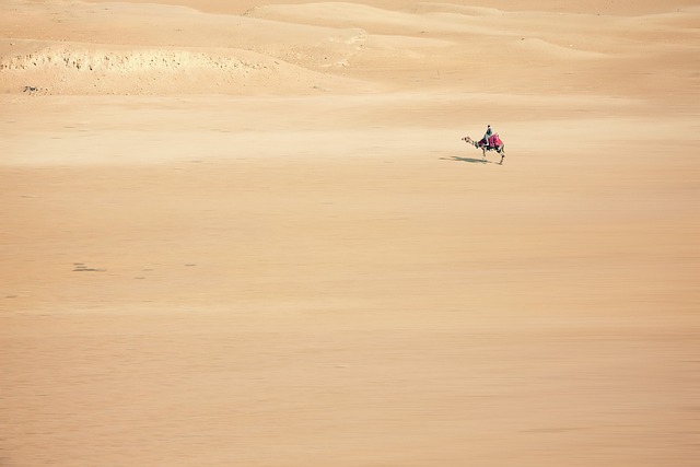 dunes-sandboarding-adventure-landscape-n-640x480-28936220.jpeg