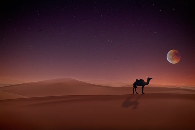 dunes, sandboarding, adventure, landscape, nature, photography
