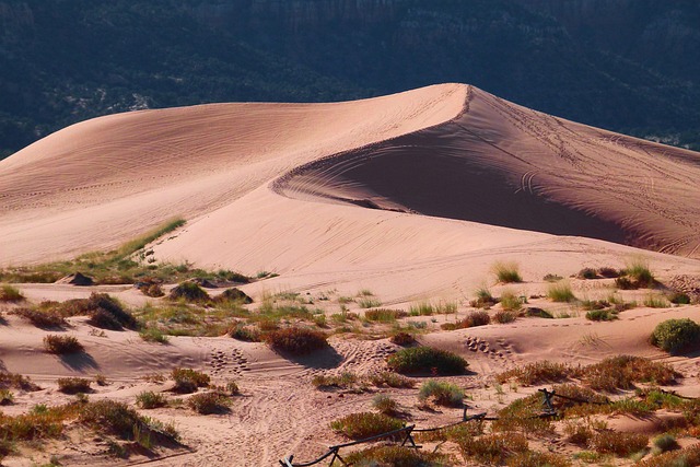 dunes, sandboarding, adventure, landscape, nature, photography