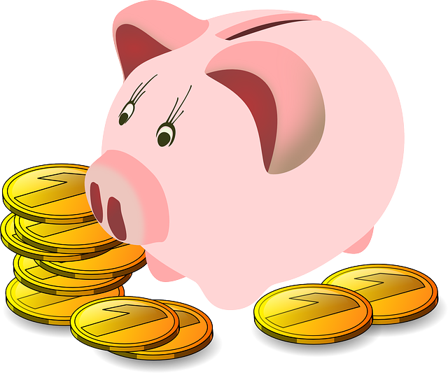 financing, growth, savings, business, flexibility, capital