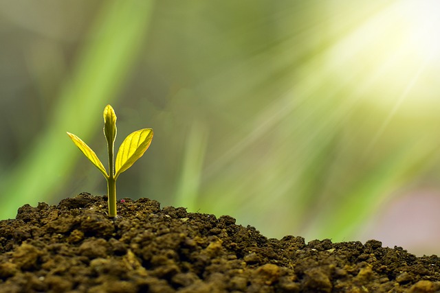Funding, capital, business, finance, investment, growth
