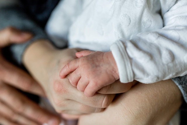 grandparent-rights-family-custody-legal-640x480-47578779.jpeg