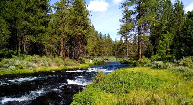 grandparent, rights, family, custody, legal, Oregon
