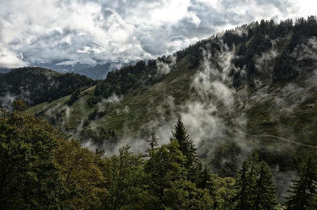 hiking, nature, trails, forest, mountains, adventure