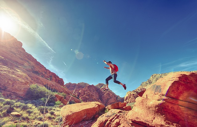 hiking, nature, trails, forest, mountains, adventure