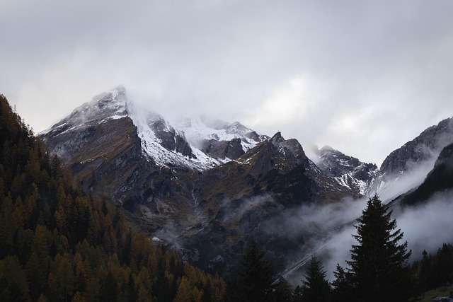 hiking, nature, trails, forest, mountains, adventure