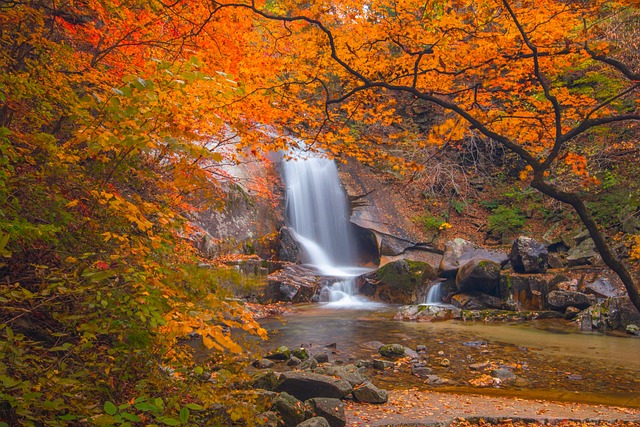 Hiking, Trails, Forest, Mountains, Waterfalls, Nature