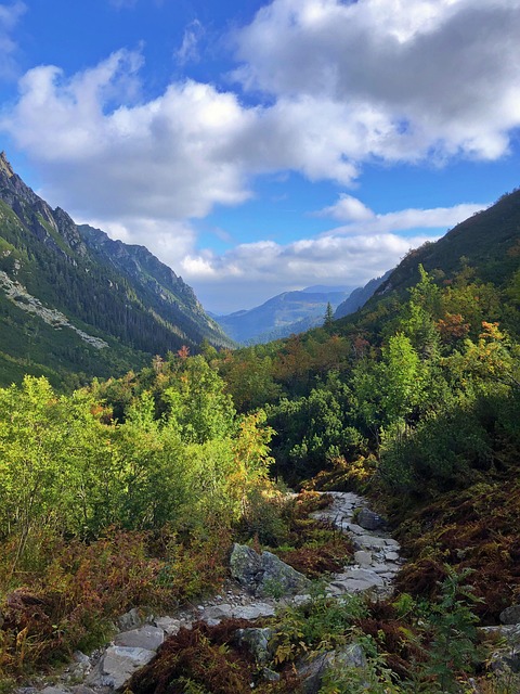 Hiking, Trails, Forest, Mountains, Waterfalls, Nature