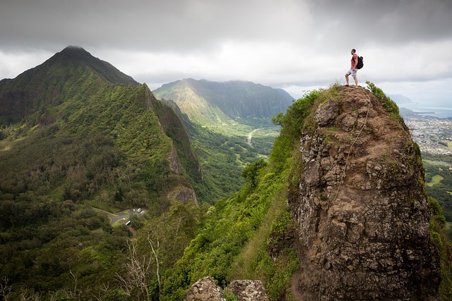 hiking, trails, nature, forest, wildlife, adventure