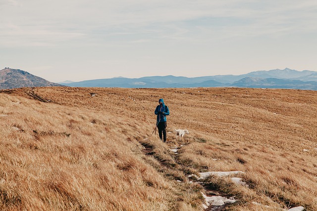 hiking, trails, nature, forest, wildlife, adventure