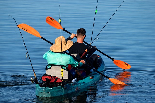kayaking, river, paddle, nature, adventure, wildlife