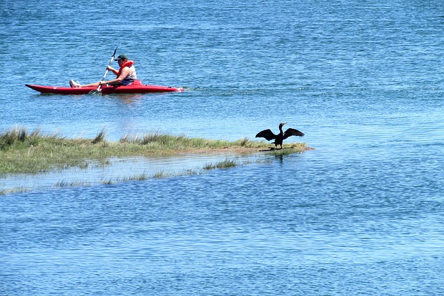kayaking-river-paddle-nature-adventure-w-640x480-35585948.jpeg