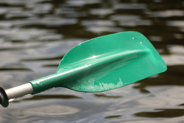 kayaking, river, paddle, nature, adventure, wildlife