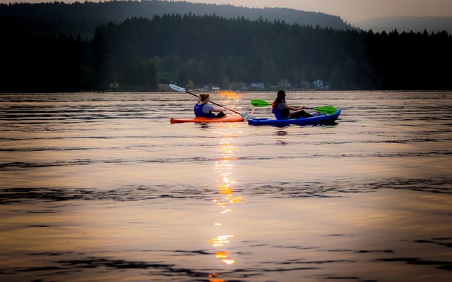 kayaking, river, paddle, nature, adventure, wildlife