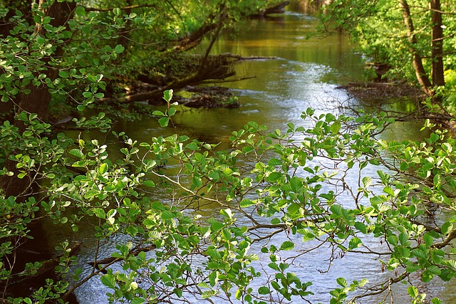 Lakes, Rivers, Kayaking, Fishing, Water, Scenery